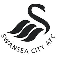 swansea city