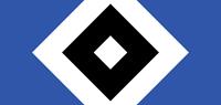 hamburger sv fanshop producten