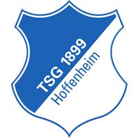TSG 1899 Hoffenheim fanshop producten