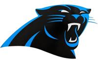 carolina panthers fanshop producten