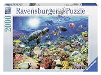 Puzzle 2000 Stück