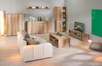 complete woonkamer meubels sets