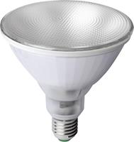 Pflanzenlampe