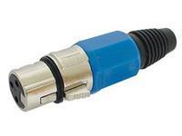 XLR Stecker