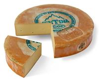 fontina kaas