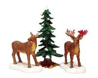kerstbomen, dieren, attributen