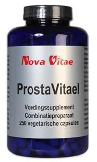 Prostata