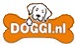 Doggi.nl