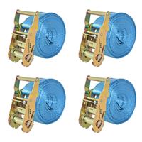 vidaXL Ratschen-Spanngurte 4 Stk. 2 Tonnen 6m×38mm  Blau