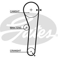Zahnriemen Gates 5092