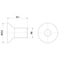 hellapagid Schroef, remschijf HELLA PAGID, u.a. für KIA, Mercedes-Benz, Mazda, Ford, Ford Usa