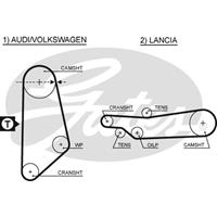 continentalctam Getande riem CONTINENTAL CTAM, u.a. für Audi, VW, Lancia