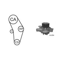 AIRTEX Waterpomp + Distributieriem Set VOLVO,VW WPK-9274R01 Waterpomp+Tandriemen