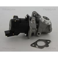 EGR-klep TRISCAN, u.a. für Peugeot, Citroën, Fiat, Suzuki