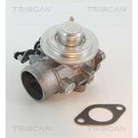 AGR-Ventil Triscan 8813 29201