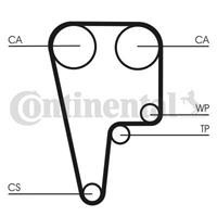 CONTITECH Zahnriemen CT1125 Steuerriemen HONDA,CIVIC VI Fastback MA, MB,CIVIC VI Aerodeck MB, MC,INTEGRA Coupe DC2, DC4