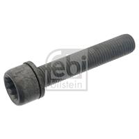 febibilstein FEBI BILSTEIN Schroef, remklauw VW,SKODA,AUDI 48817 N91006802,N91168901,N91006802  N91168901,N91006802,N91168901,N91006802,N91168901