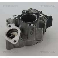 AGR-Ventil Triscan 8813 24039
