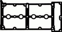 REINZ Kleppendeksel Pakking OPEL,FORD,FIAT 71-36259-00 73500063,93177255,0249G7 Klepdekselpakking 68297479AA,73500063,1563470,9S516584BA,73500063