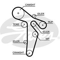 GATES Zahnriemen 5648XS Steuerriemen VW,AUDI,SKODA,GOLF VI 5K1,PASSAT Variant 3C5,GOLF PLUS 5M1, 521,PASSAT 3C2,TIGUAN 5N_,GOLF VI Variant AJ5