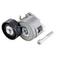 cadillac Spanrol, Poly V-riem GA35807