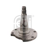 febibilstein FEBI BILSTEIN Achszapfen 29656 Achszapfen, Achskörper VW,AUDI,SEAT,CADDY I 14,A4 8D2, B5,A4 Avant 8D5, B5,80 8C, B4,80 89, 89Q, 8A, B3