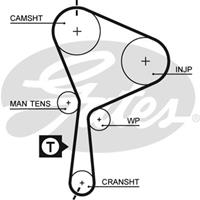 GATES Zahnriemen 5552XS Steuerriemen OPEL,RENAULT,NISSAN,VIVARO Kasten F7,VIVARO Combi J7,MOVANO Kasten F9,MOVANO Combi J9