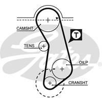 Getande riem PowerGrip GATES, u.a. für VW, Audi, Seat, Porsche