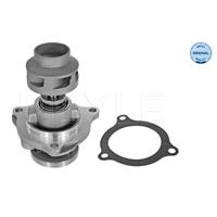 ford Waterpomp 7132200009