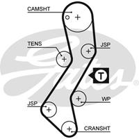 GATES Zahnriemen 5251XS Steuerriemen FORD,FIESTA III GFJ,ESCORT VII GAL, AAL, ABL,MONDEO I Kombi BNP,SIERRA GBG, GB4,MONDEO I GBP