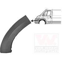 citroen Rub./profiel Links Bumper