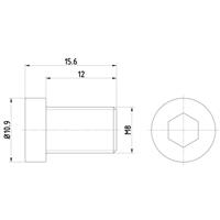 bmw Montageschroef PAG0009 8DZ355209091