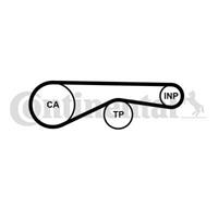 CONTITECH Zahnriemen CT1095 Steuerriemen AUDI,Q7 4L,A8 4E_