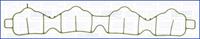 chevrolet Pakking, inlaatspruitstuk 13229900