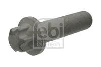 febibilstein Schroef FEBI BILSTEIN