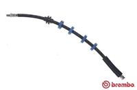 BREMBO Bremsschläuche T 23 040 Bremsschlauch FIAT,SEICENTO 187,CINQUECENTO 170,SEICENTO Van 187