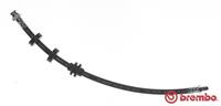 Bremsschlauch Vorderachse Brembo T 23 147
