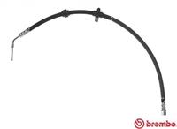 Bremsschlauch Hinterachse rechts Brembo T 61 060