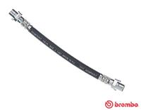 Bremsschlauch | BREMBO (T 06 031)