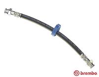 BREMBO Bremsschläuche T 23 020 Bremsschlauch FIAT,ALFA ROMEO,LANCIA,SEICENTO 187,COUPE FA/175,MULTIPLA 186,BRAVO I 182,BRAVA 182,MAREA Weekend 185
