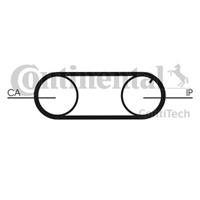 continentalctam Waterpomp + distributieriem set CONTINENTAL CTAM, u.a. für Volvo, Audi, VW