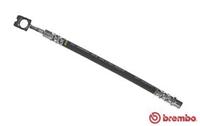 BREMBO Bremsschläuche T 85 068 Bremsschlauch AUDI,A4 8D2, B5,A4 Avant 8D5, B5