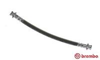 BREMBO Bremsschläuche T 56 139 Bremsschlauch NISSAN,QASHQAI / QASHQAI +2 J10, JJ10,MICRA II K11