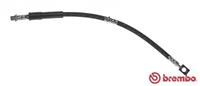 BREMBO Bremsschläuche T 59 072 Bremsschlauch OPEL,ZAFIRA B A05,ASTRA H Caravan L35,ASTRA H L48,ASTRA G Caravan F35_,ASTRA H GTC L08,MERIVA B