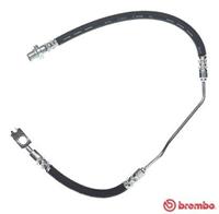 BREMBO Bremsschläuche T 06 015 Bremsschlauch BMW,X5 E53