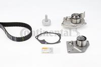 continentalctam Waterpomp + distributieriem set CONTINENTAL CTAM, u.a. für Nissan, Renault, Suzuki