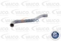 Kühlerschlauch oben Vaico V10-0074