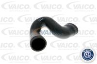 Ladeluftschlauch 'Q+, Erstausrüsterqualität' | VAICO (V10-2876)