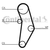 continentalctam Waterpomp + distributieriem set CONTINENTAL CTAM, u.a. für Alfa Romeo, Fiat, Jeep, Abarth, Lancia, Opel