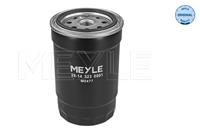 MEYLE Kraftstofffilter 28-14 323 0001 Leitungsfilter,Spritfilter HYUNDAI,KIA,ix35 LM, EL, ELH,i30 FD,i10 PA,i20 PB, PBT,TUCSON JM,i30 CW FD